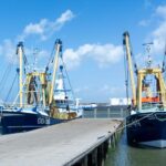 Consiliul vrea ca fondurile UE să poată finanța și construcția de nave noi de pescuit după 2028