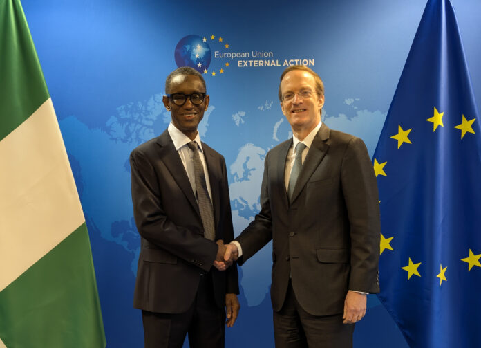 Consiliul UE aprobă 20 de milioane de euro pentru echipamente militare neletale destinate armatei Nigeriei