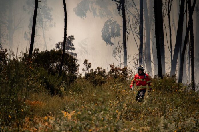 Primăriile cer acces la finanțare pentru prevenirea incendiilor înainte ca dezastrele să se producă