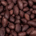 BEI și FCMB anunță 85 de milioane de euro pentru agricultura din Nigeria