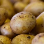 EFSA găsește dovezi incomplete pentru unele tratamente cu clorhidrat de chitosan la cartof și rapiță